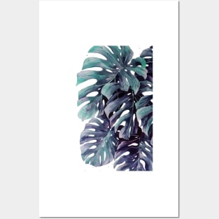 Monstera Leaves 11 Posters and Art